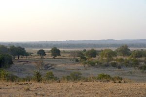 Elephant kills two female tourists from the UK and New Zealand in Zambian national park
